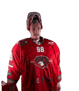 HC ORLI ZNOJMO Sticker