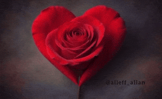 Heart Romance GIF