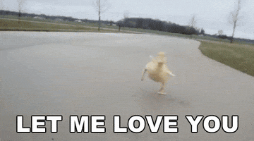 Let Me Love You Reaction GIF