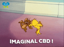 Happy Tom And Jerry GIF by Imaginal Biotech