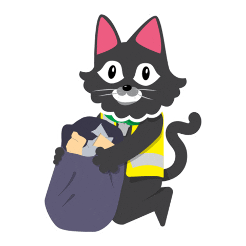 San Luis Cat Sticker by City of San Luis Az