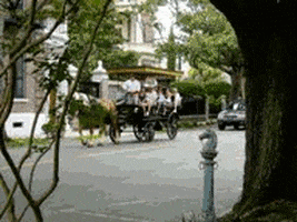 200.gif?cid=fc005b0896a1b63946774591e70ee7cad84056227be7eb6a&rid=200.gif&ct=g