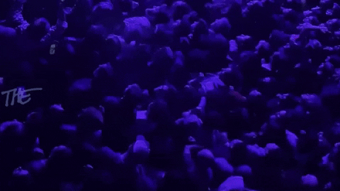 Heces GIFs - Get the best GIF on GIPHY