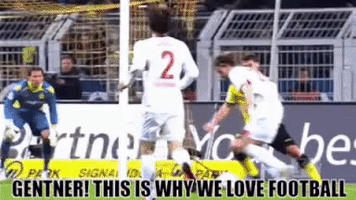 Borussia Dortmund Bundesliga GIF