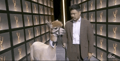 Randall Park Friends GIF by Emmys