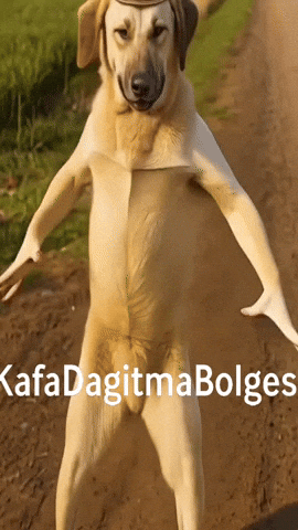 Kangal GIF