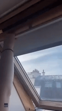 Cat Crosses Parisian Rooftop to Visit Neighbor Every Time He Opens Window