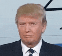 https://media4.giphy.com/media/6L015gMEW3pFC/200w.gif