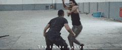 Kicking Martial Arts GIF by Raven Banner Entertainment