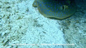 Water Swimming GIF by world-weather.ru