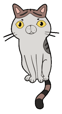 Cat Hello Sticker