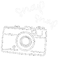 Snap Snap Picture Sticker by Roman