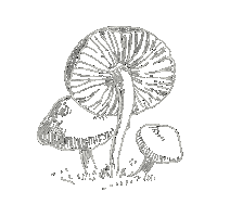 Art Illustration Sticker