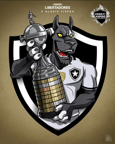 Botafogo De Futebol E Regatas GIF