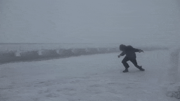 jmiller907yahoocom falling windy bracing gusts GIF