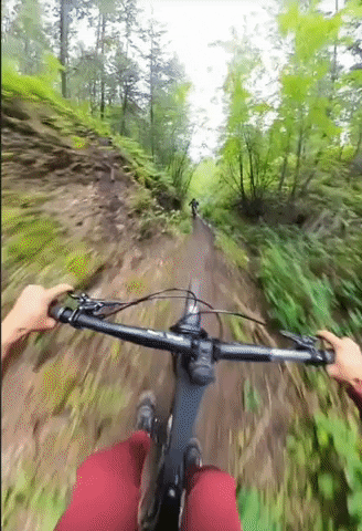 Mountainbike GIF