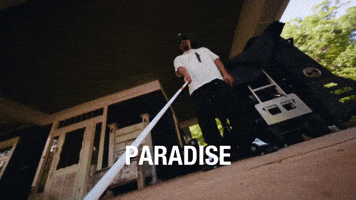 GIF by RCA Records