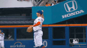 New York Yes GIF by MLB