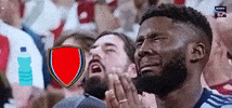 Champions League Final Football GIF