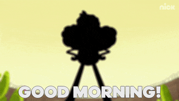 Good Morning Cartoons GIF by Nickelodeon