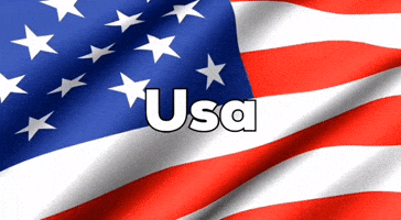 United States Usa GIF