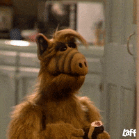 Tv Show Alf GIF by Laff