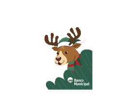 Banco Municipal Sticker