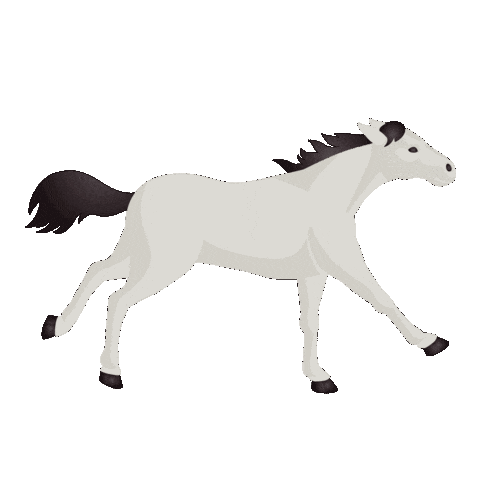 Galloping Horse Racing Sticker by Breeders' Cup World Championships