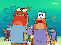 This Is A Load Of Barnacles