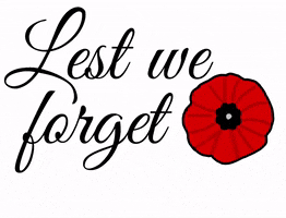 Remembrance Day GIF