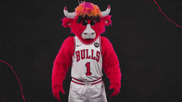 Excited Red Bull GIF by Chicago Bulls