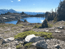 Dr Michael Piepkorn GIF