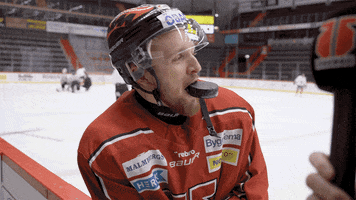 Hockey Player Sport GIF by Örebro Hockey