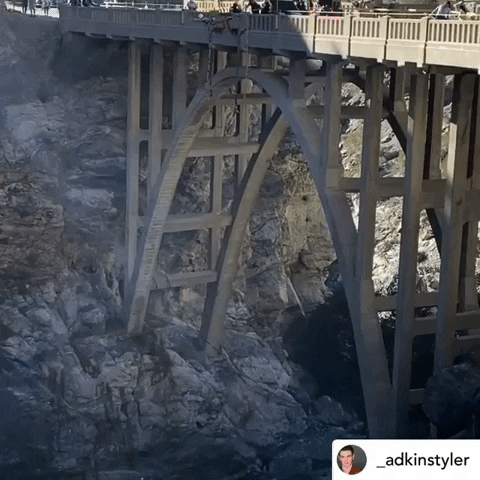 Bungee America GIF