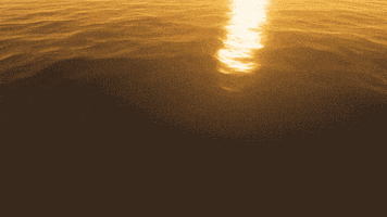Water Sunset GIF by Rooster Teeth