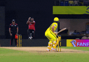 Sunrisers Hyderabad Wicket GIF