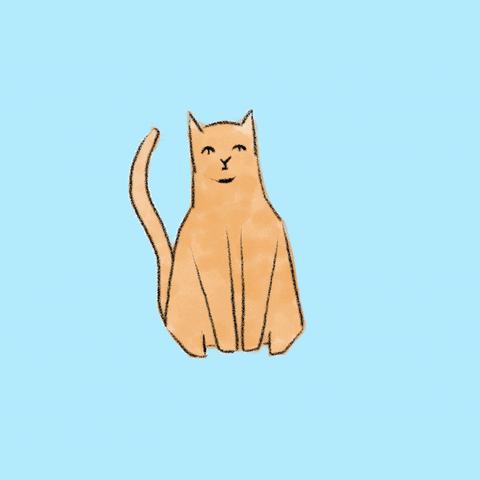 Tabby Cat GIF by Cut the Mustard