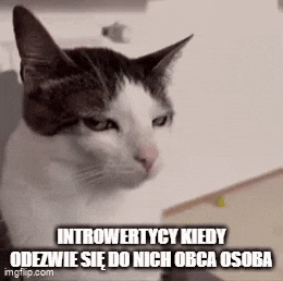 Peace GIF