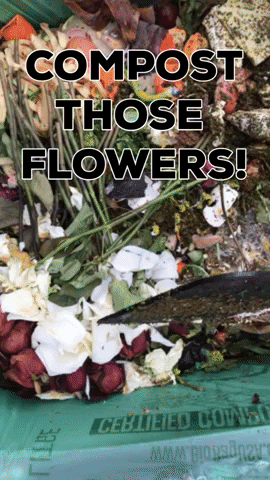 Flowers Reduce GIF by Common Ground Compost