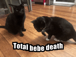 Pip GIF