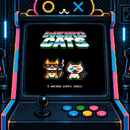 Cat Stay Weird GIF by Weird Cats