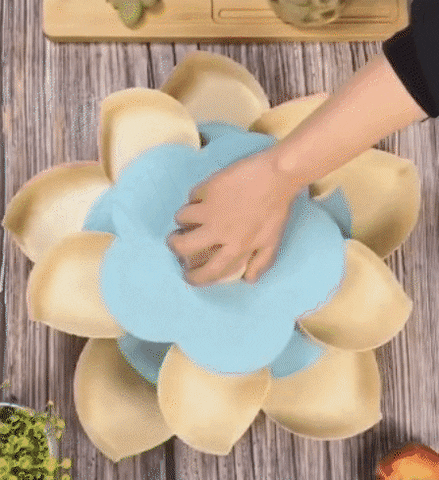 Petal Shaped Rotating Candy Box – kitchenx-pk