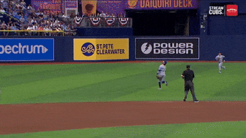 Chicago Cubs Baseball GIF by MLB