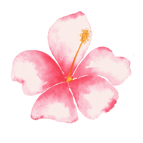 Color Sticker