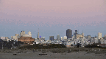 audelanoireaude  GIF