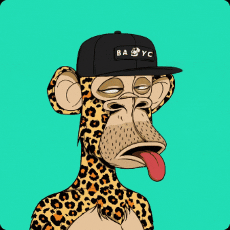 What The Omg GIF by Boring Merch