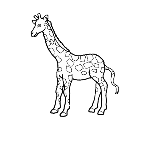 Giraffe Sticker by Animate Depot