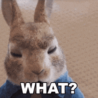 No Way Yes GIF by Peter Rabbit Movie
