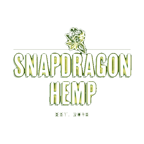 The Dragon Chattanooga Sticker by Snapdragon Hemp