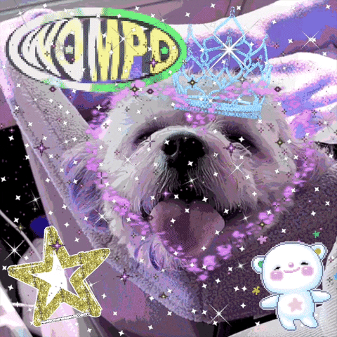 wompo heart dog kawaii star GIF